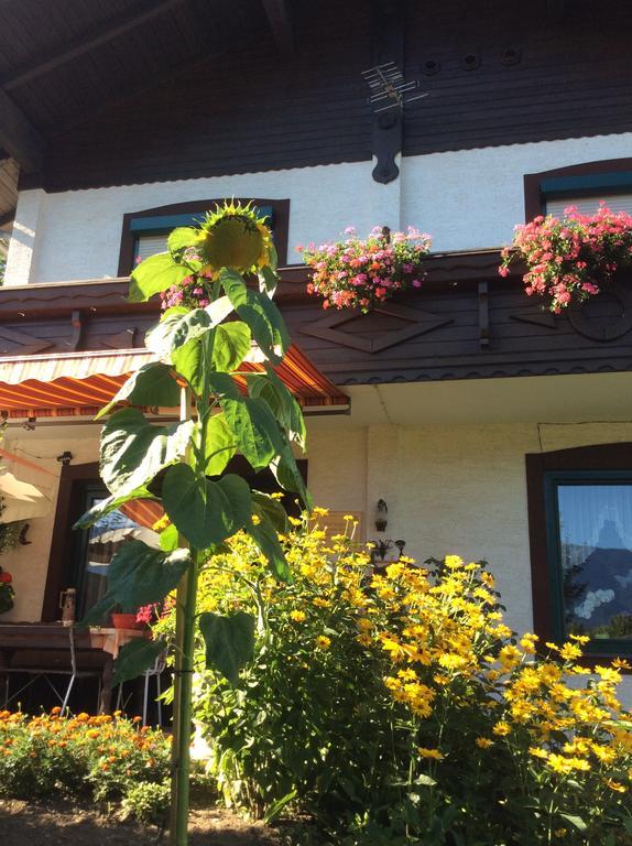 Ferienwohnung Gerti Kalt Lieserhofen Bagian luar foto